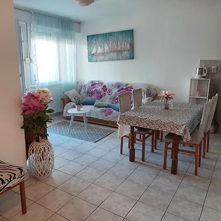 Dubrovacka アパート *