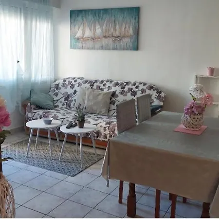 Dubrovacka Appartement *