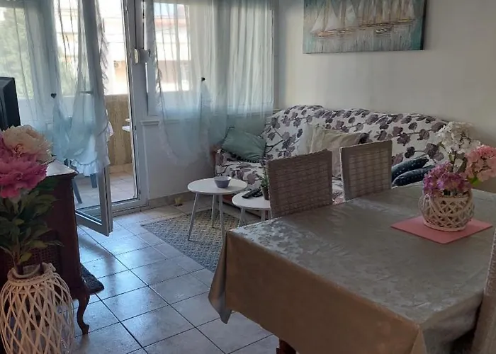 Apartment Dubrovacka *